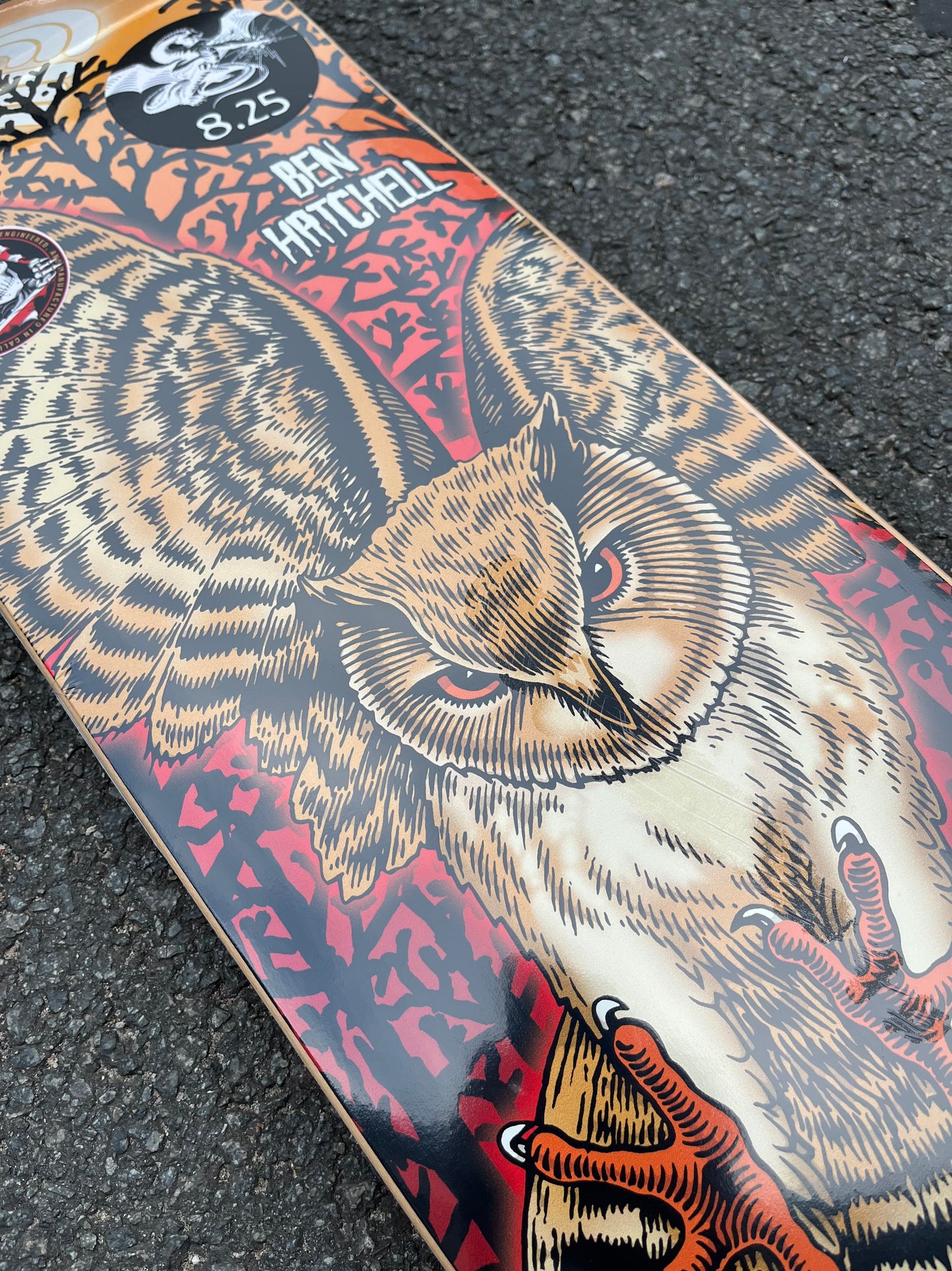 POWELL-PERALTA - BEN HATCHELL OWL - 8.25