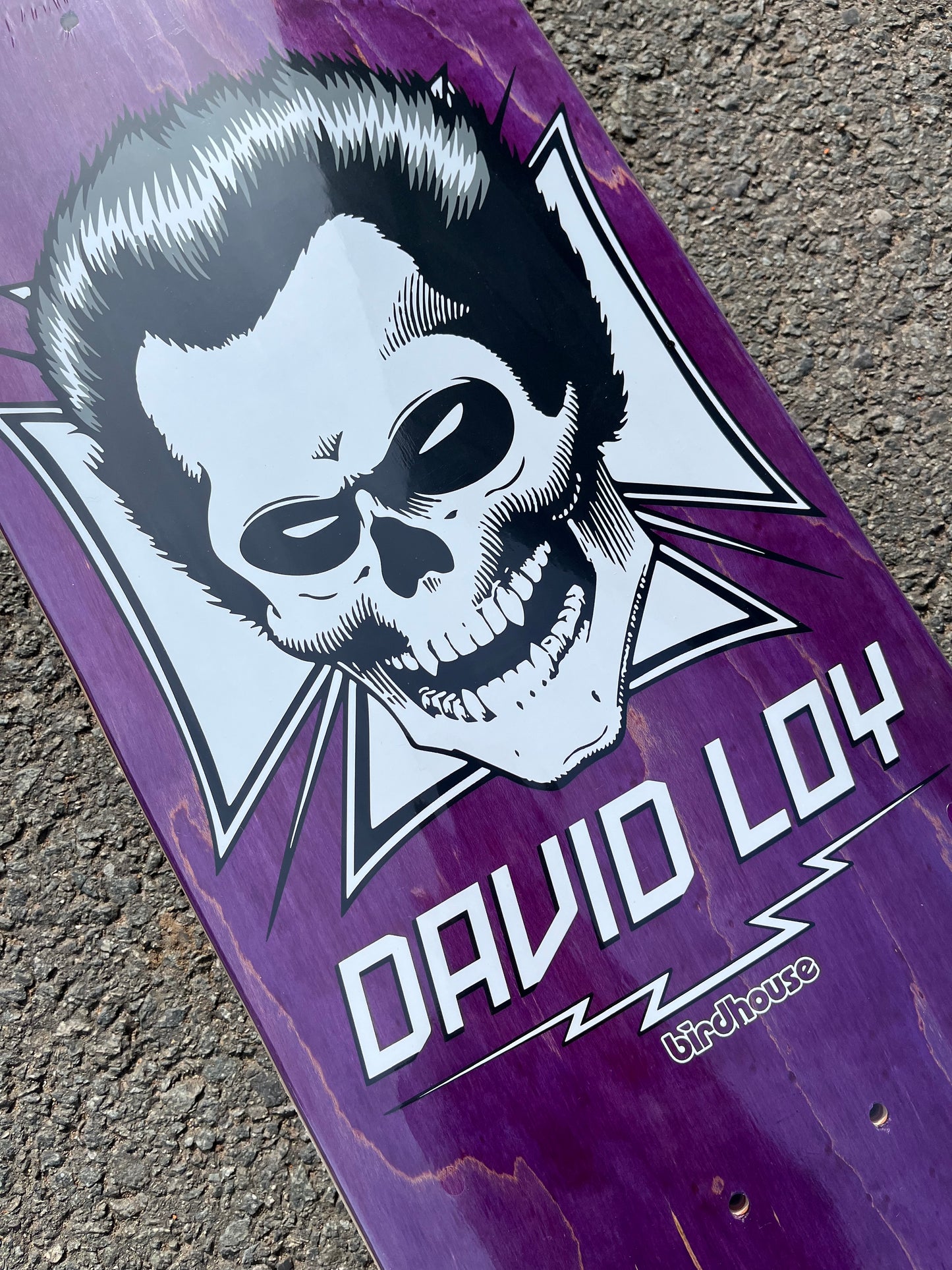 BIRDHOUSE - DAVID LOY SKULL - PURPLE - 8.38